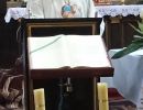 DSC 0235