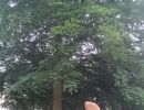DSC 0390
