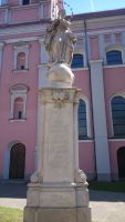 DSC 0470