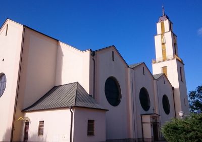 20170915 św Antoniego Padewskiego, Poznań