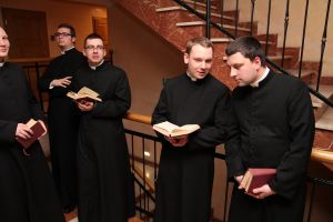 IMG 8582