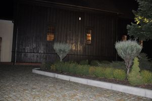 DSC 0497