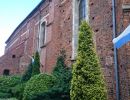 DSC 0956